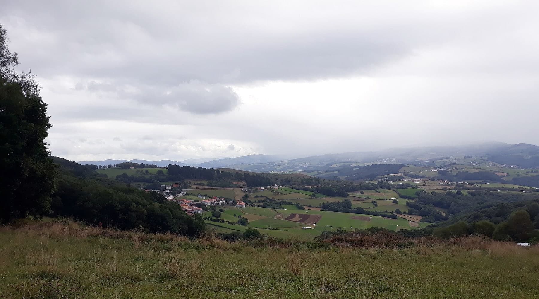 Zelená asturská krajina na Camino Primitivo u Samblisma