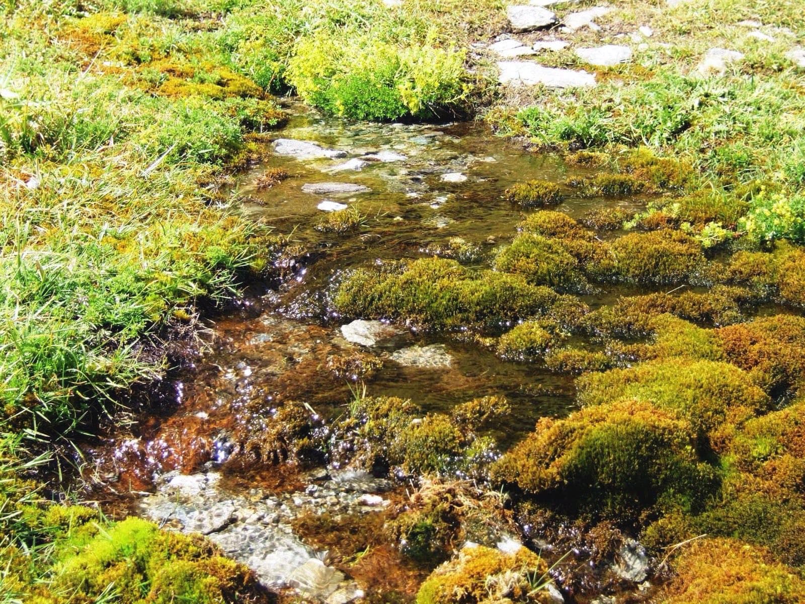 Alpské pastviny a štíty na okruhu Tour du Queyras GR58