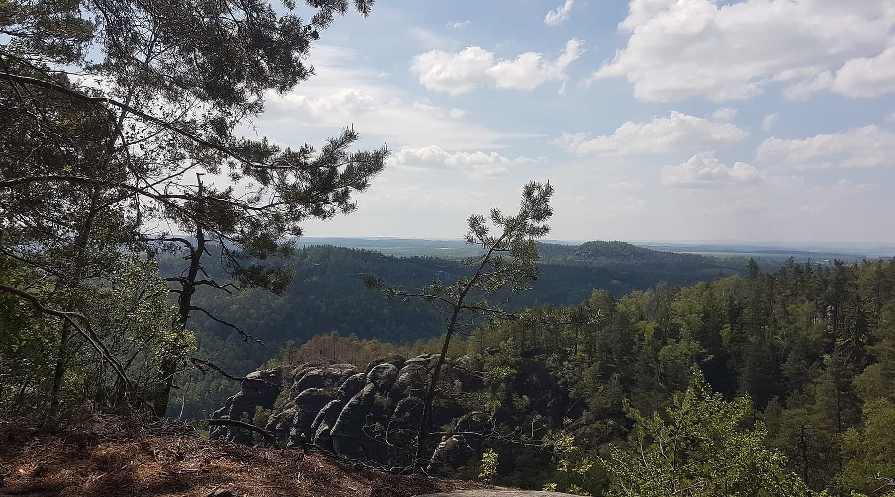 Lesy a pískovcové skály v Saském Švýcarsku na Malerwegu